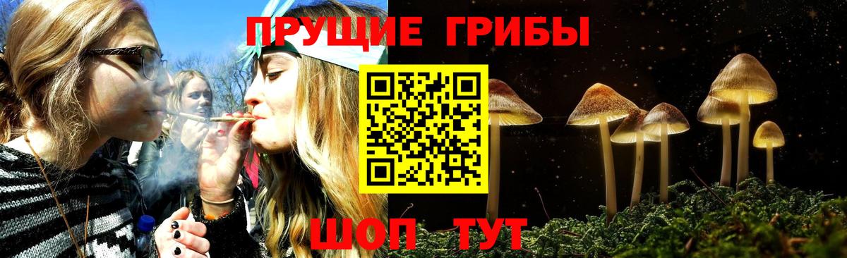 Псилоцибиновые грибы Magic Shrooms Кимры